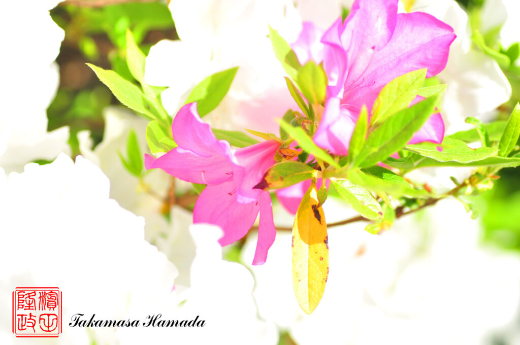 22-019-066 04-28_154258