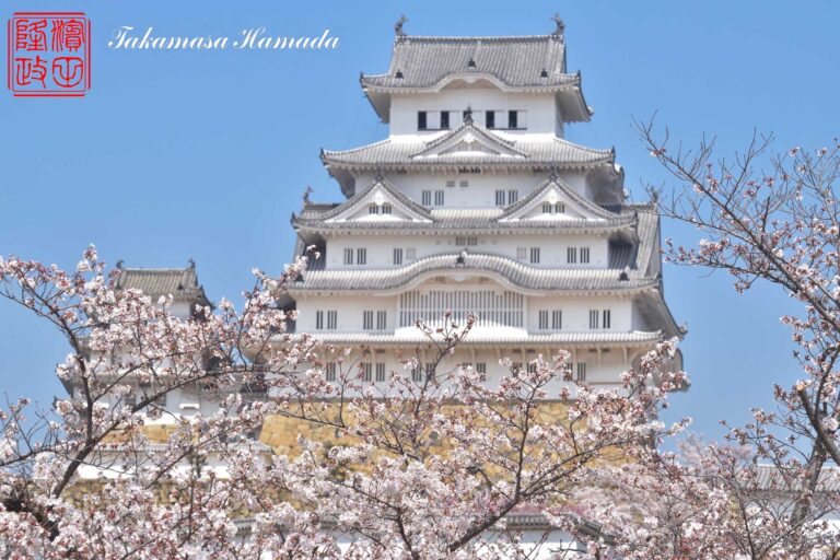 23-012-063-_03_31_123728