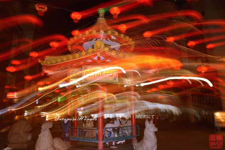 13-012-042-5_DSC_1366