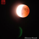 14-038-018-1-Ami_394kb