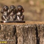 21-039-024 12-14_1512-t1