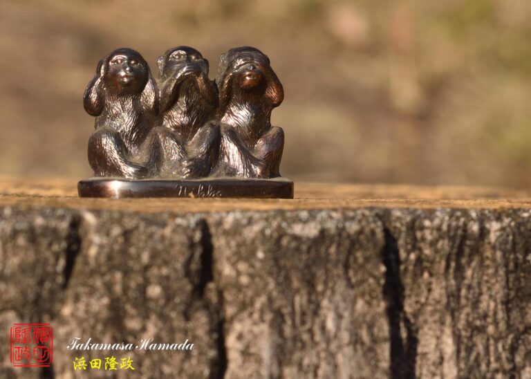 21-039-024 12-14_1512-t1