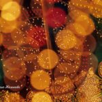 神戸ルミナリエ：10-019-16-f-350kb