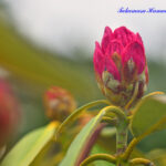 23-002-041 03_24_130242