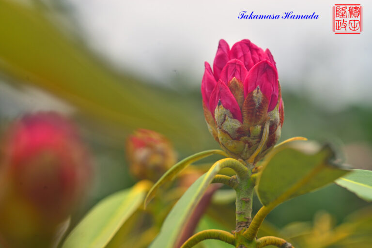 23-002-041 03_24_130242