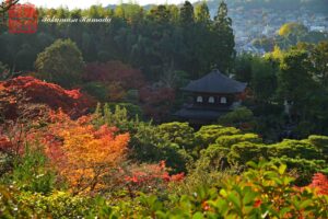 24-017-056 _12_02_150957