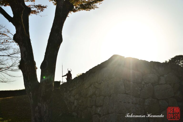 22-054-151 11-27_144229