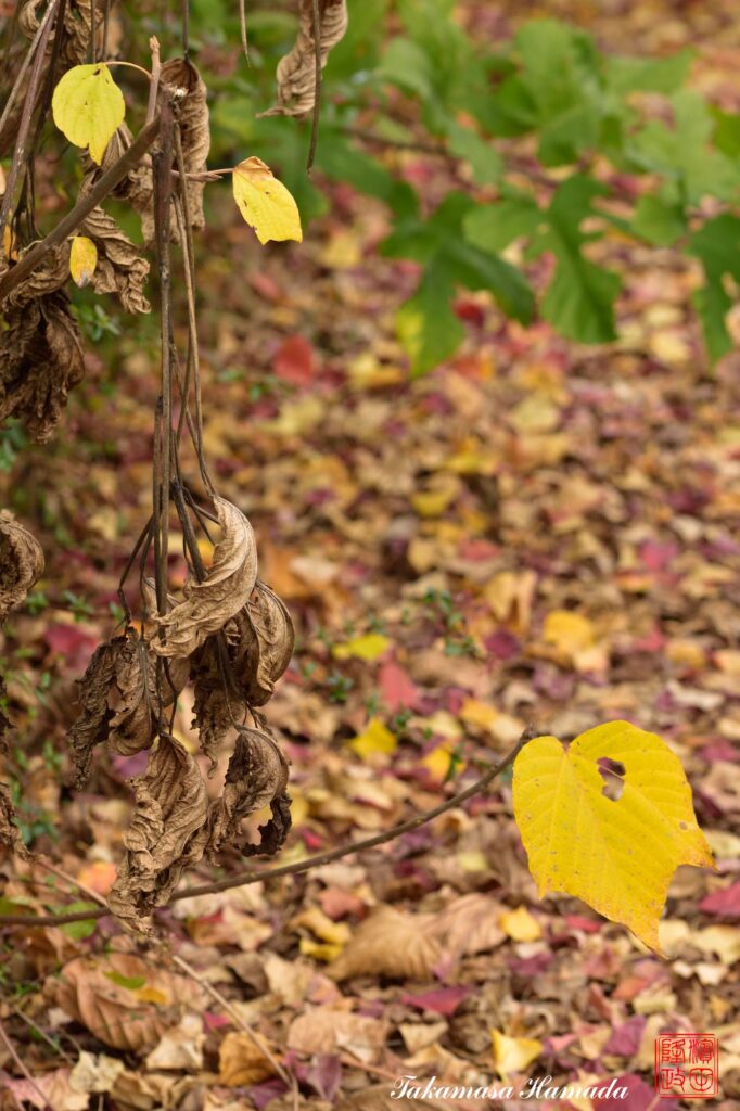 15-042-013 11_23 114457