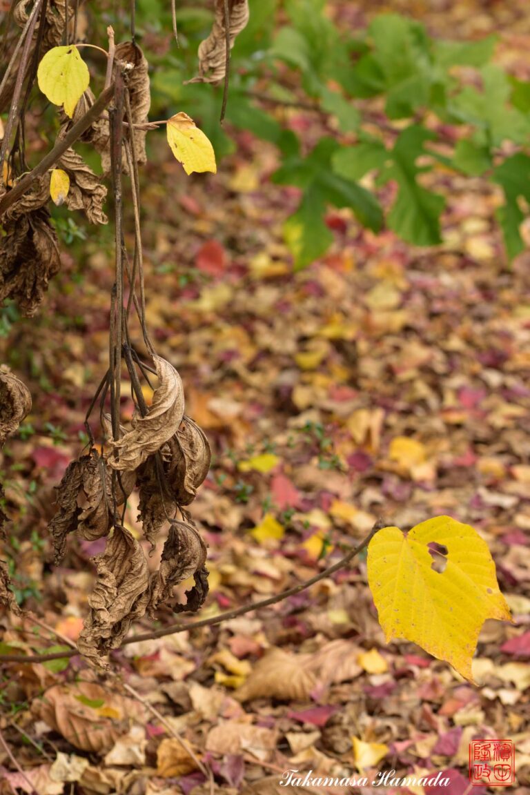 15-042-013 11_23 114457