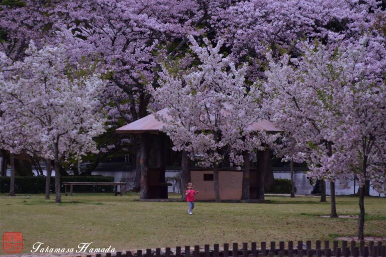 16-008-118 04_06 180516