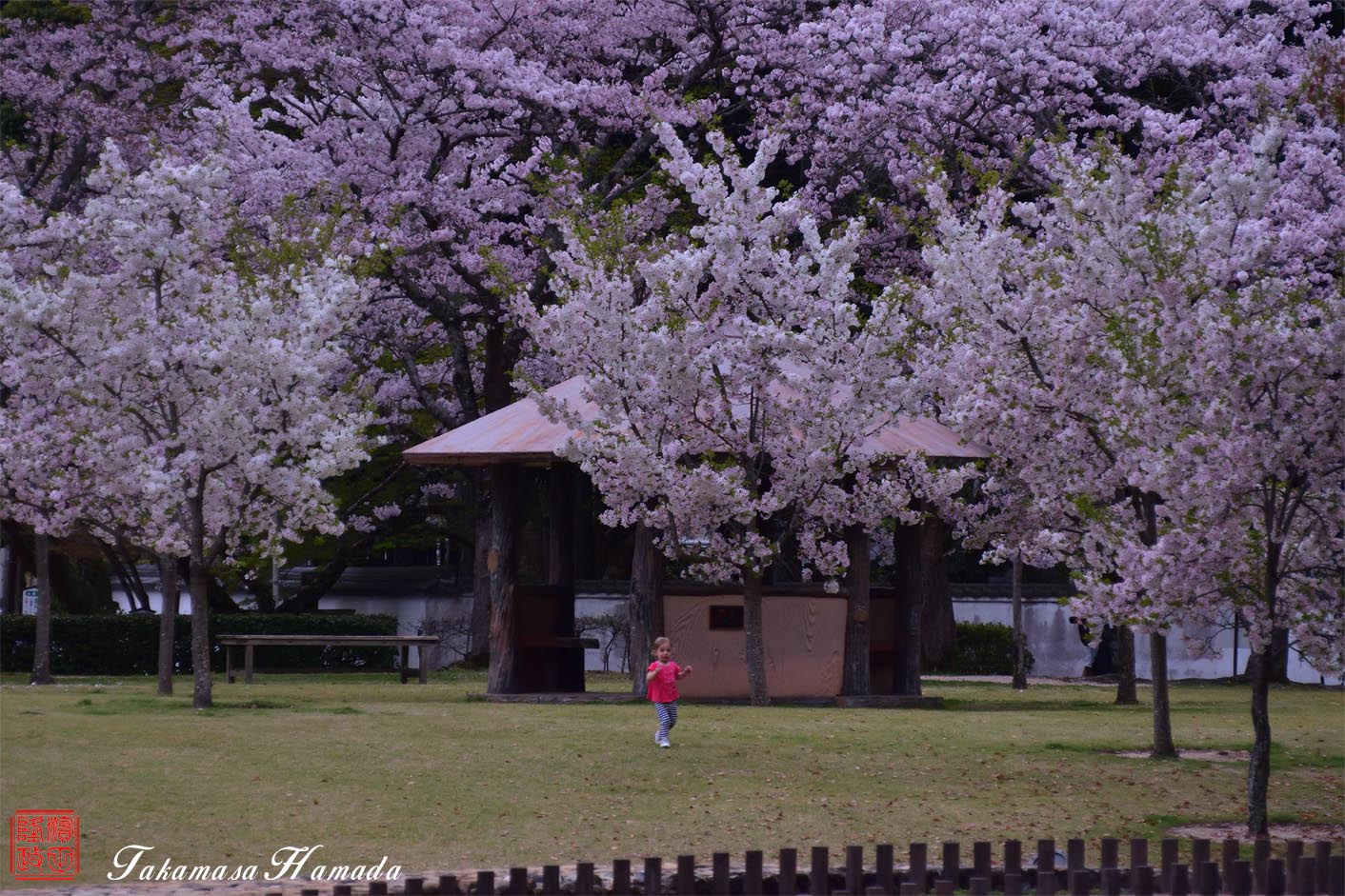 16-008-118 04_06 180516